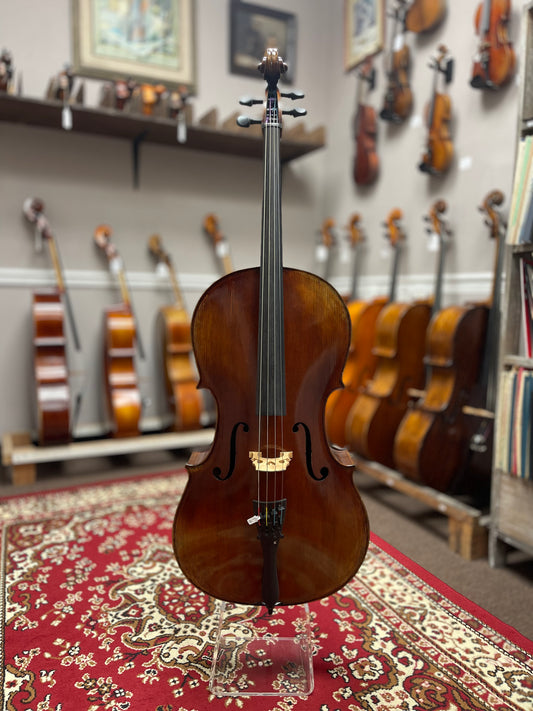 Tina Guo Elite Model Cello 600 Master Art Special