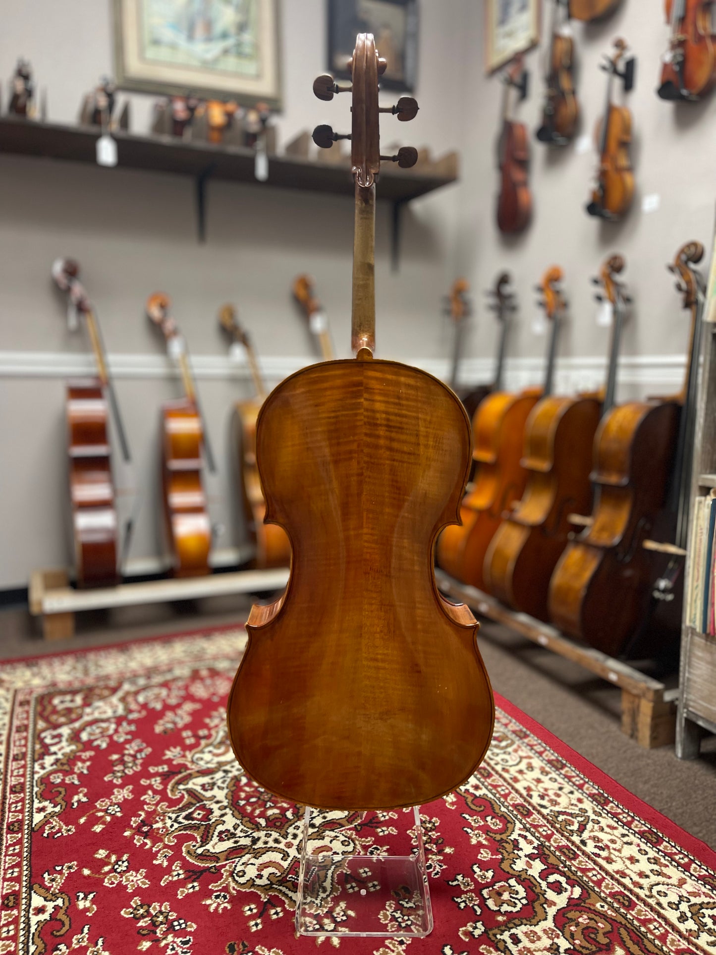 Kolstein Montagnana Cello