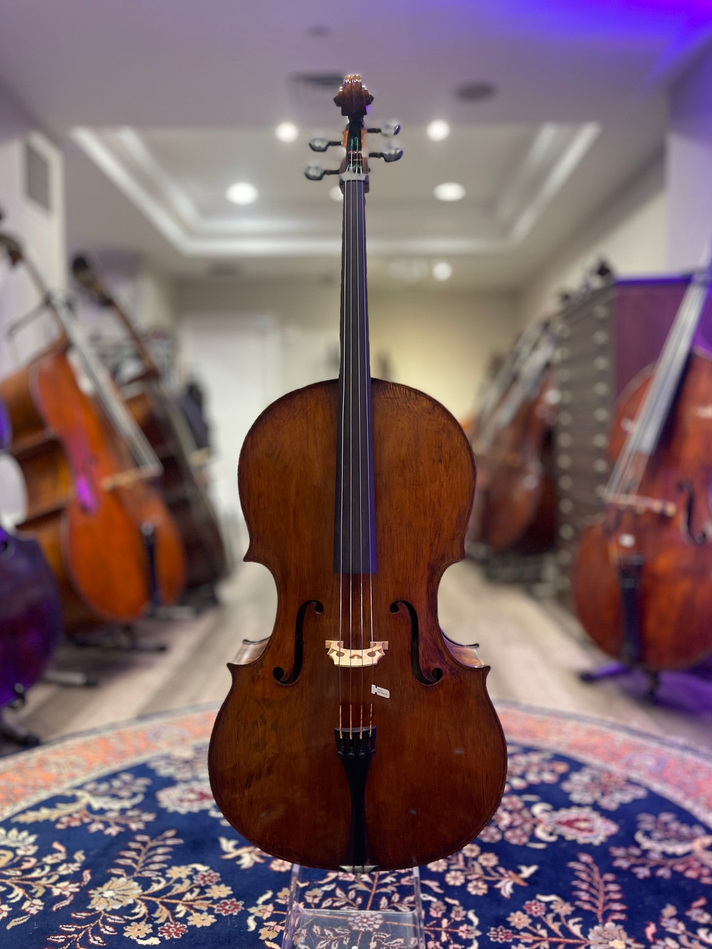 Kolstein Ceruti Model Cello