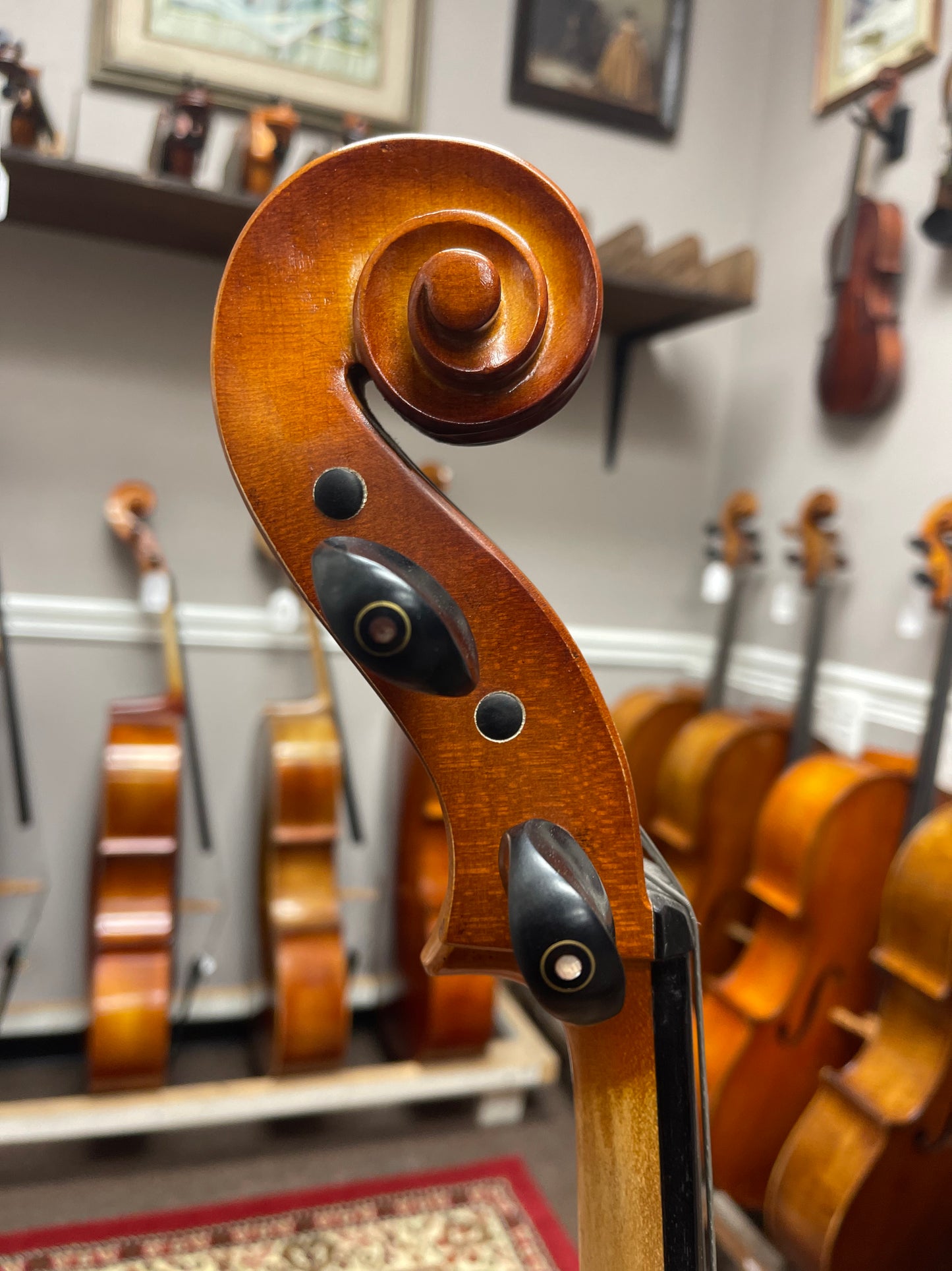 Liandro DiVacenza Model 75 Hybrid Cello