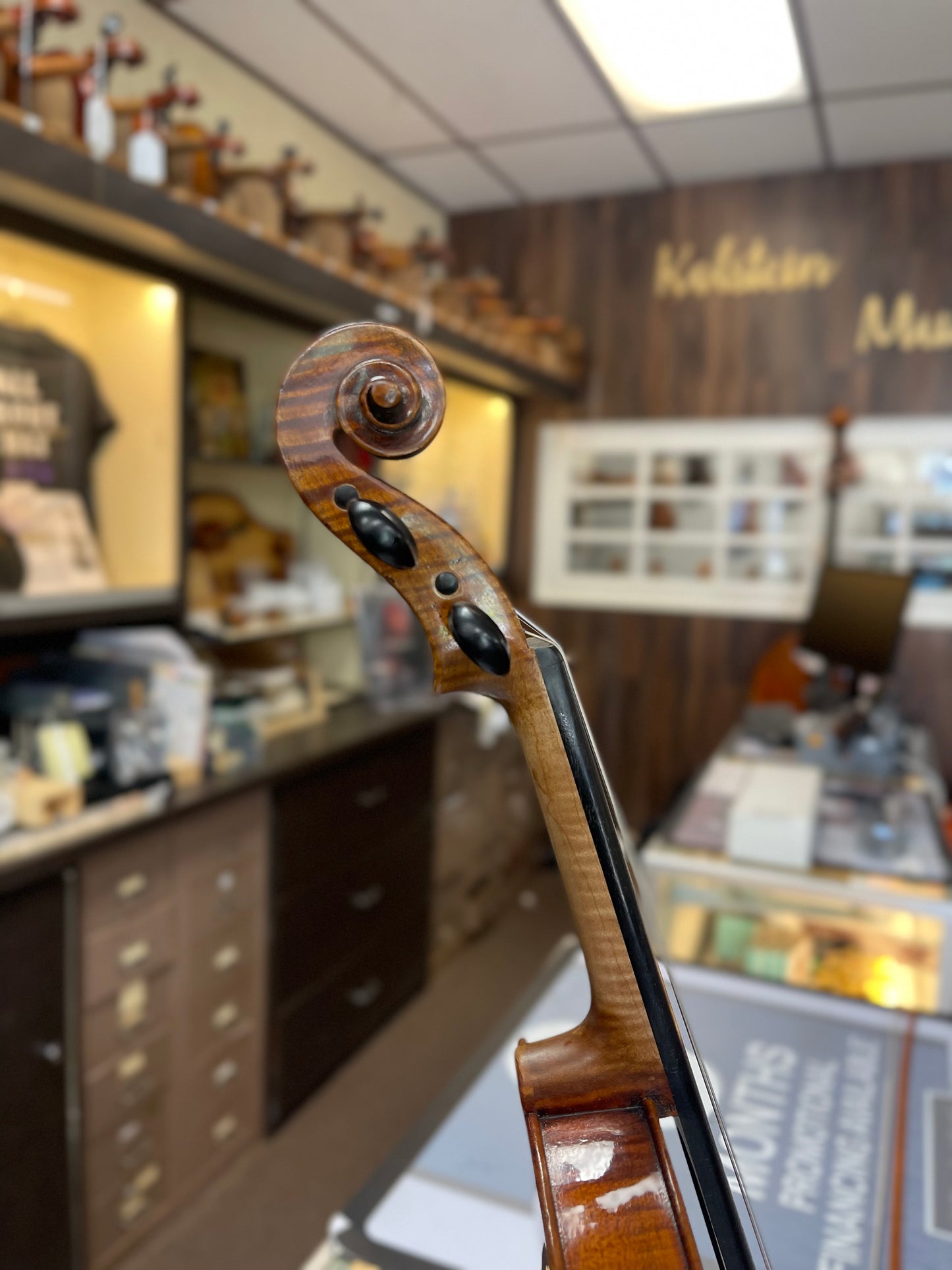 Liandro DiVacenza Master Art Model Violin