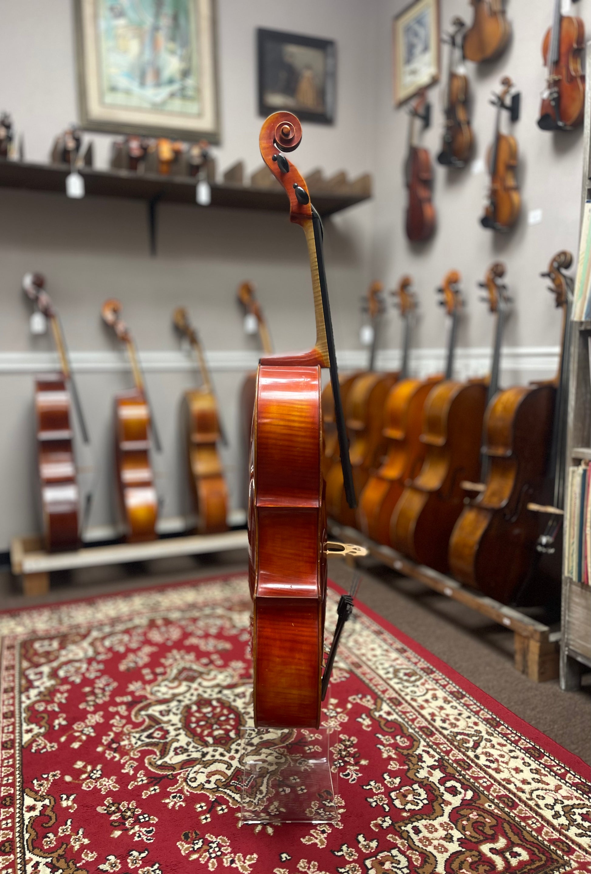 Roman Teller Cello Model 285 Kolstein Music