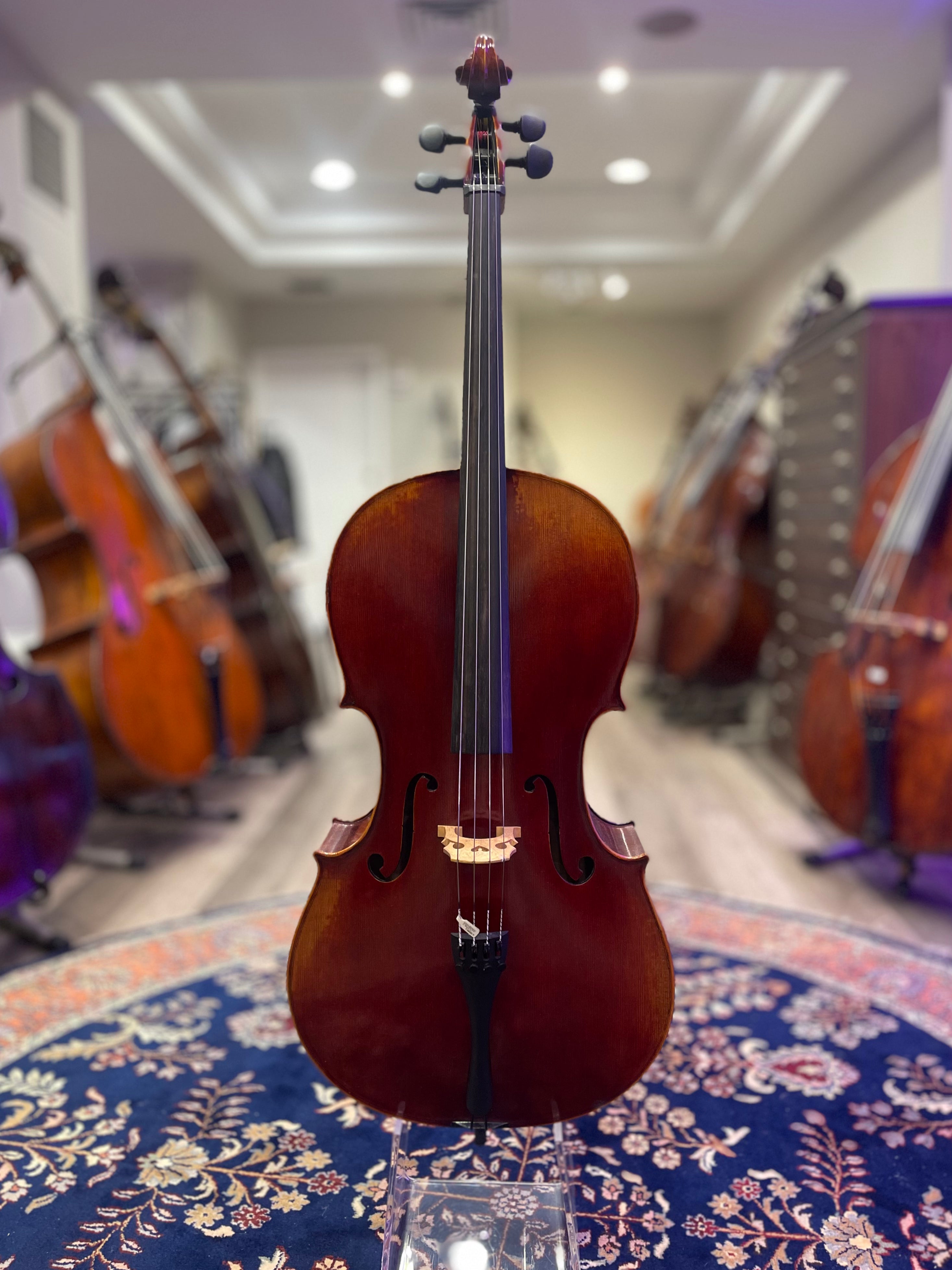 Liandro DiVacenza Model DC300 – Kolstein Music
