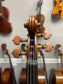 Kolstein Shop Strad Model