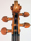Donato Masciangoli Violin