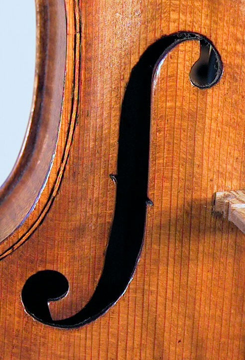Donato Masciangoli Violin
