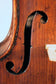 Savinus Cavalli Violin