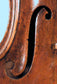 Mattia Poppella Violin