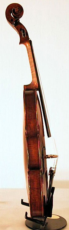 Guilio Degani Shop Violin