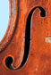 Gaetano Pollastri Violin