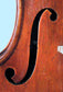 Florentina Strad Model Violin