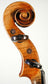 Guarneri Copy Violin