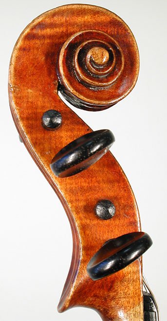 Maggini Copy Violin