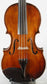 Monzino Shop Violin