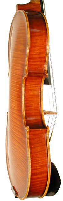Nicolo Ulcigrai Violin