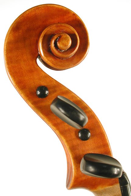 Nicolo Ulcigrai Violin