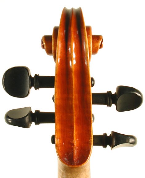 Nicolo Ulcigrai Violin