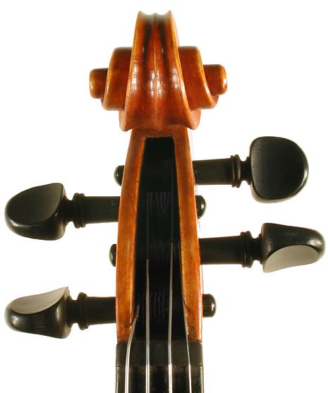 Nicolo Ulcigrai Violin