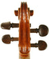 Geronimo Barnabetti Violin