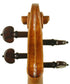 John Friedrich Violin