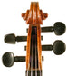 Aloisius Lanaro Violin