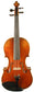 Plinio Michetti Violin