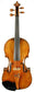 Antonio Pedrinelli Violin