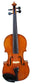 Nicholas Heinz Violin